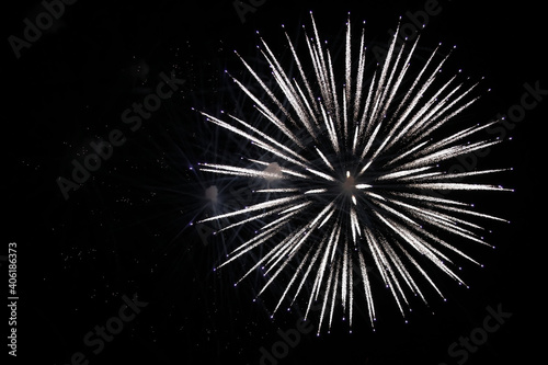An image of a thorny flower fireworks against the black night sky.