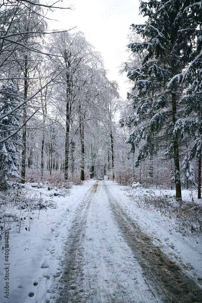 Obraz premium german winterwonderland with snow ice tree hikingpath, frozen trees with snow
