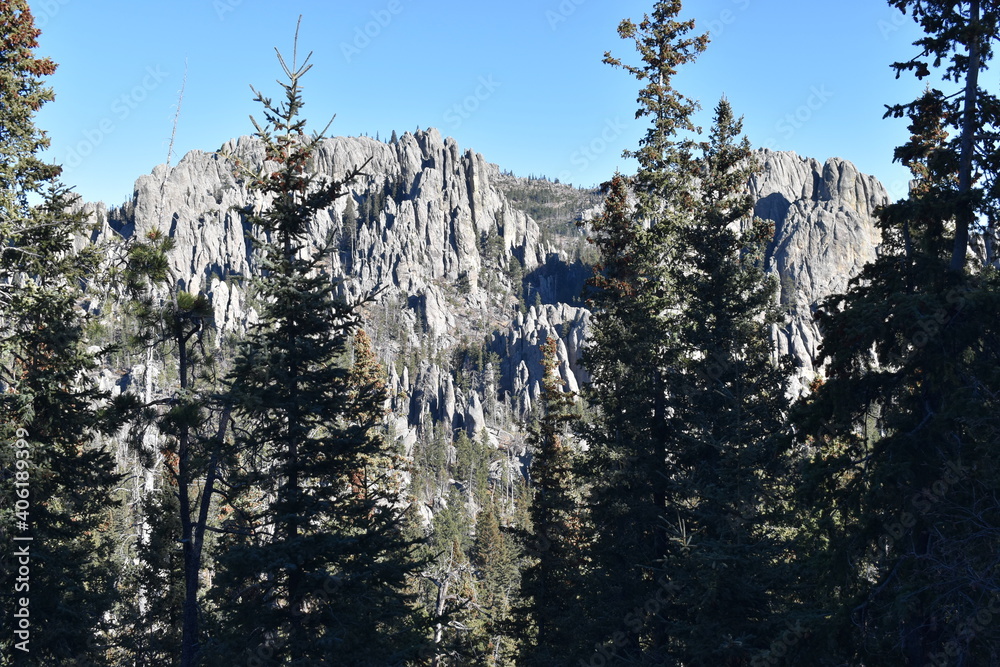Custer State Park South Dakota Experience The Magic Of The Black Hills - cdpkt53