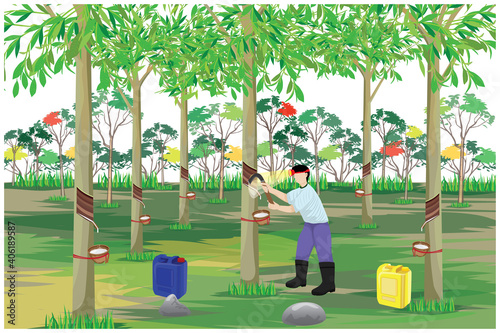 agriculturist Rubber tapping  in garden vector design