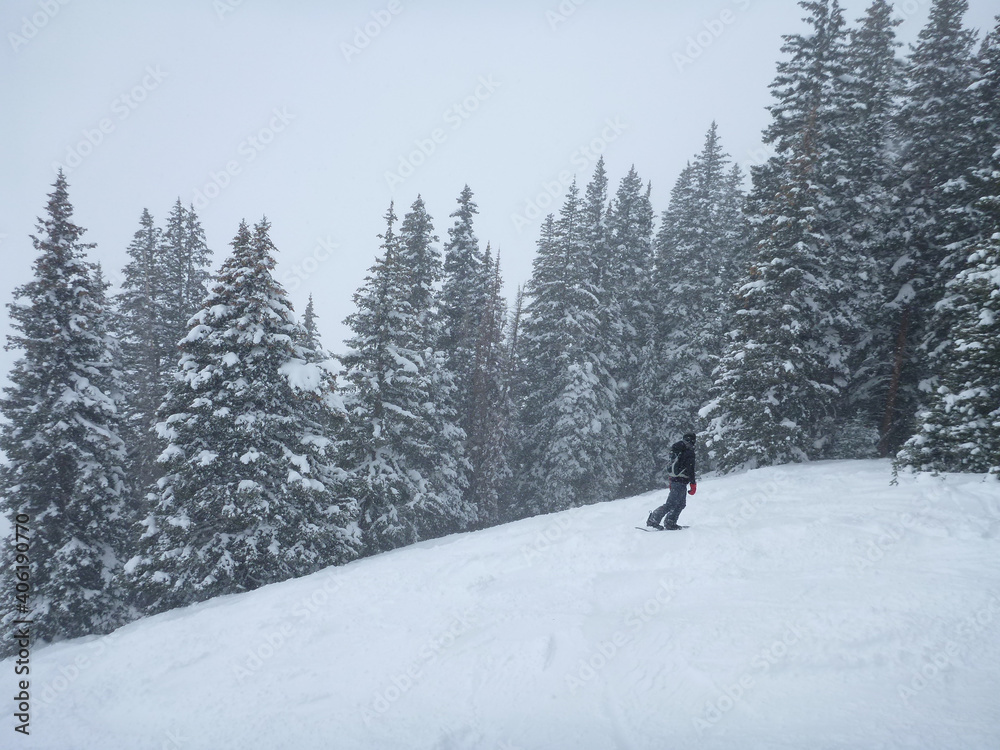 A snowboarder on the slopes of a ski resort on a cloudy winter day, with snow covered trees around