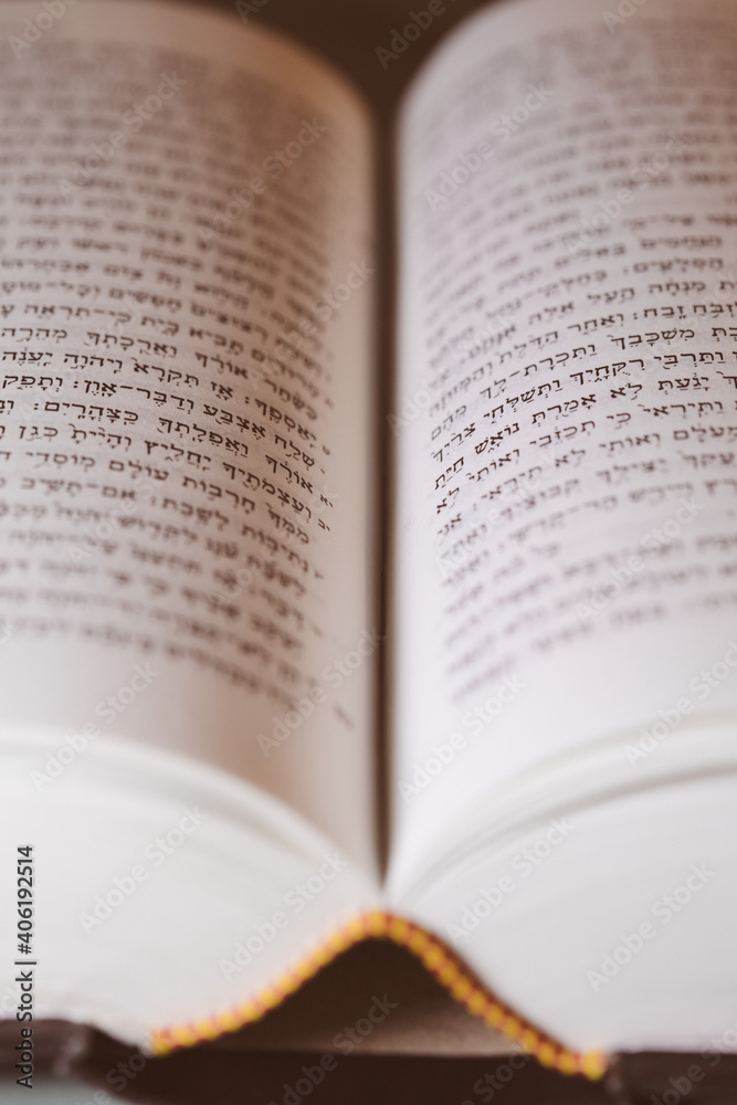 The holy bible The holy bible