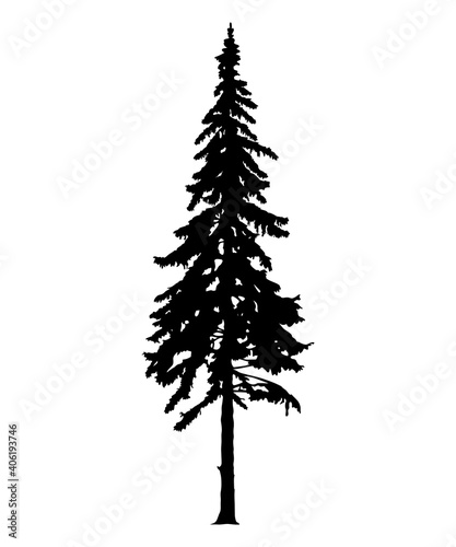 Silhouette of tall skinny pine tree. Hand made.