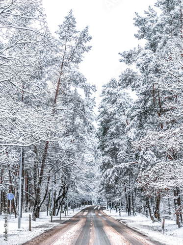 snow covered road during winter in a foeest