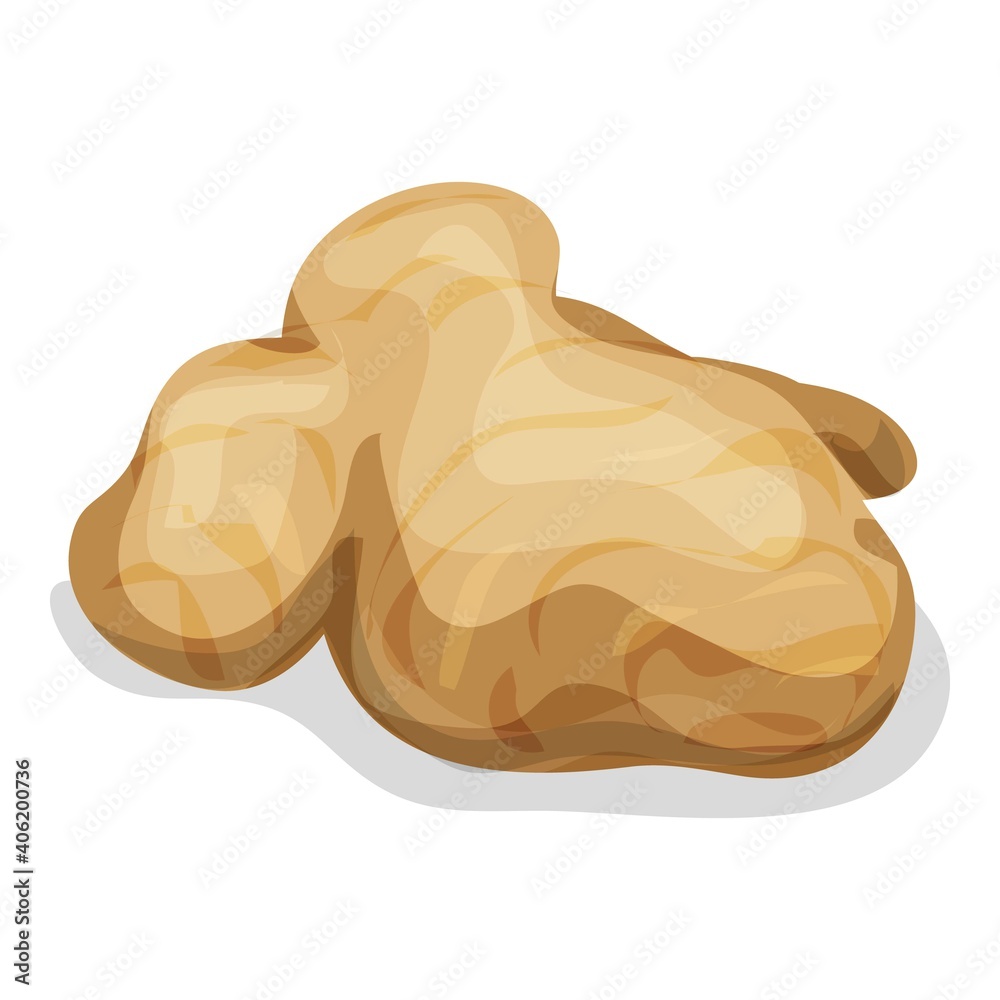 Ginger root icon. Cartoon of ginger root vector icon for web design isolated on white background Ginger root icon. Cartoon of ginger root vector icon for web design isolated on white background