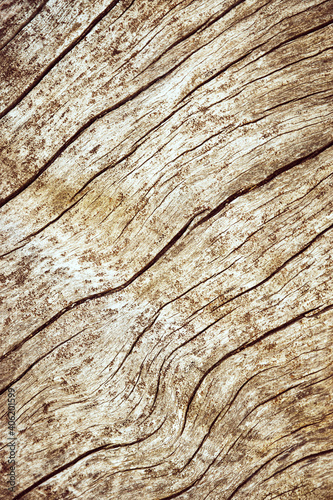 oblique lines of cracks on old wood