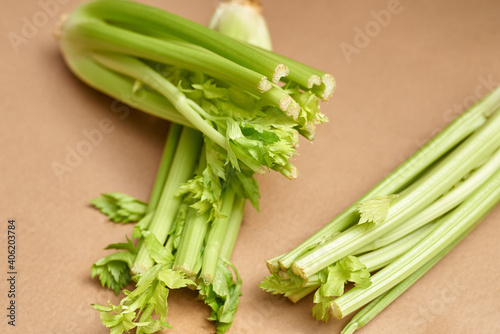 stalk of fresh celery on a plain background, close-up