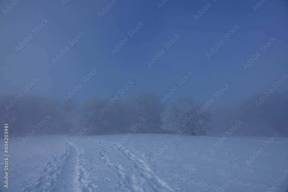 Winter landscape under snow and fog in the Vercors in France Winter landscape under snow and fog in the Vercors in France