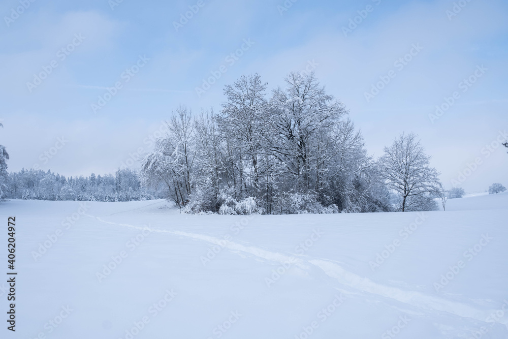 Winterwonderland auf dem Land