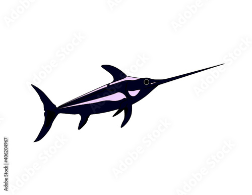 blue swordfish