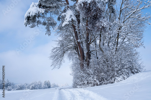 Winterwonderland auf dem Land photo