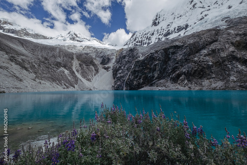 Incredible vibrant blue waters of Lagoon 69 with Nevado Chakrarahu in the background and wild Lupine flowers in the foreground, Peru.