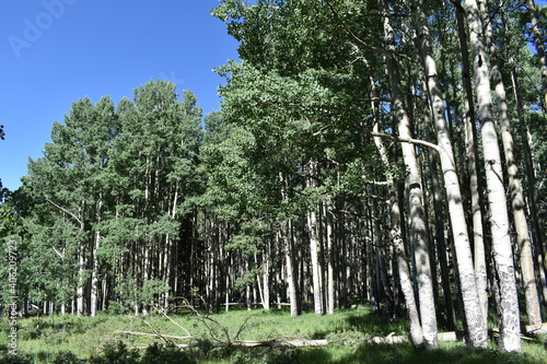 East Pecos Baldy New Mexico 2019