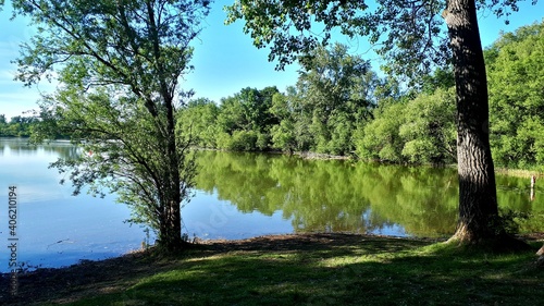 Peaceful pond