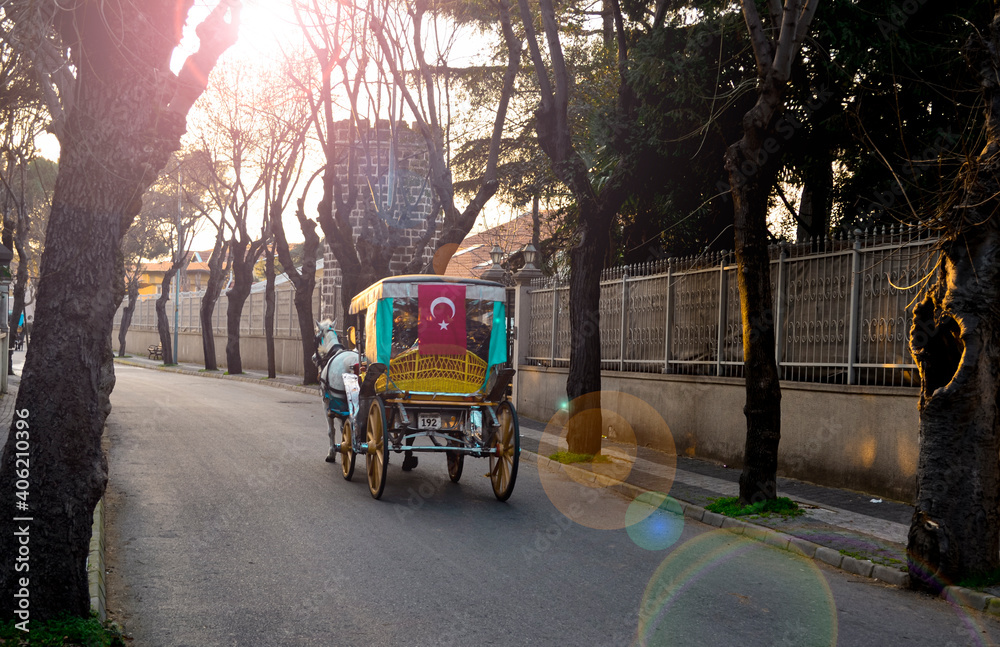 Obraz premium coach Turkish