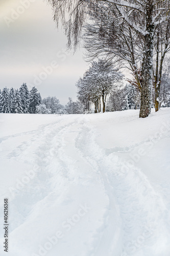 Winter Schnee Wald Feld Landschaft © vip-photoworld