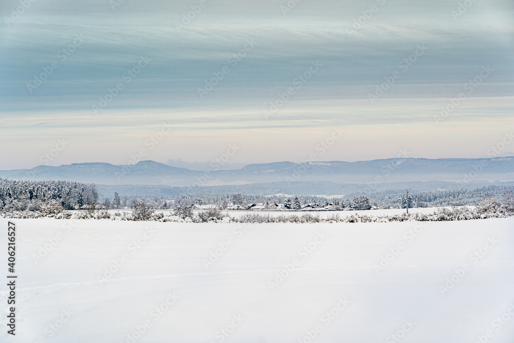 Winter Schnee Wald Feld Landschaft