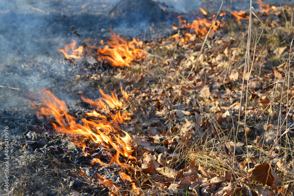 Burning leaves and dry grass. Flames out of focus. Burning leaves and dry grass. Flames out of focus.