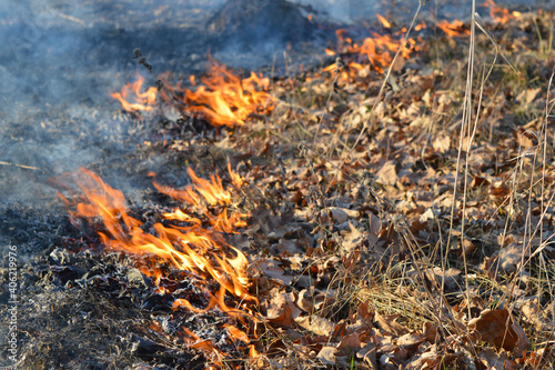 Burning leaves and dry grass. Flames out of focus.