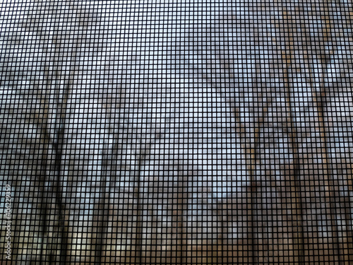 blurry trees in the garden behind mosquito frame