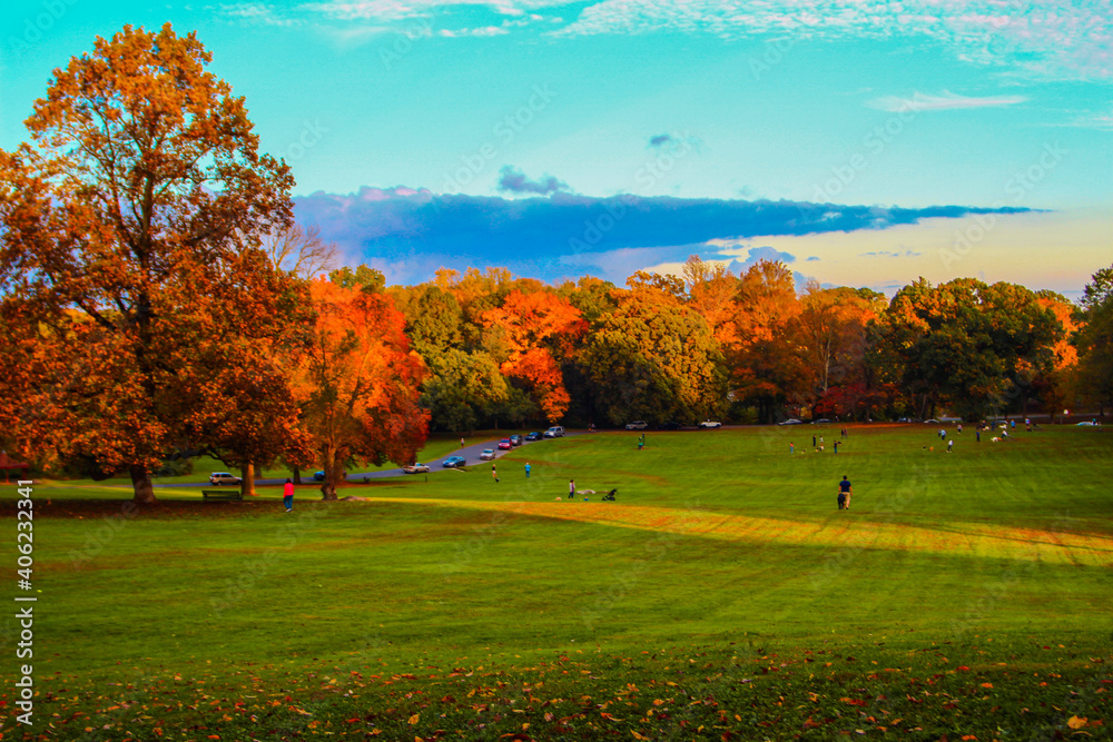 autumn in the park