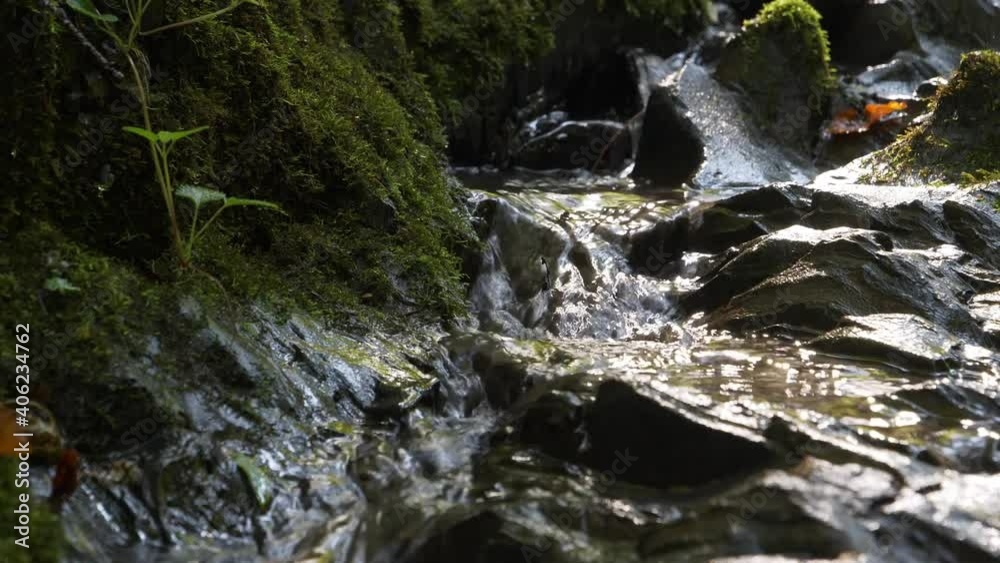 Tiny brook, clean mountain water flows between stones
