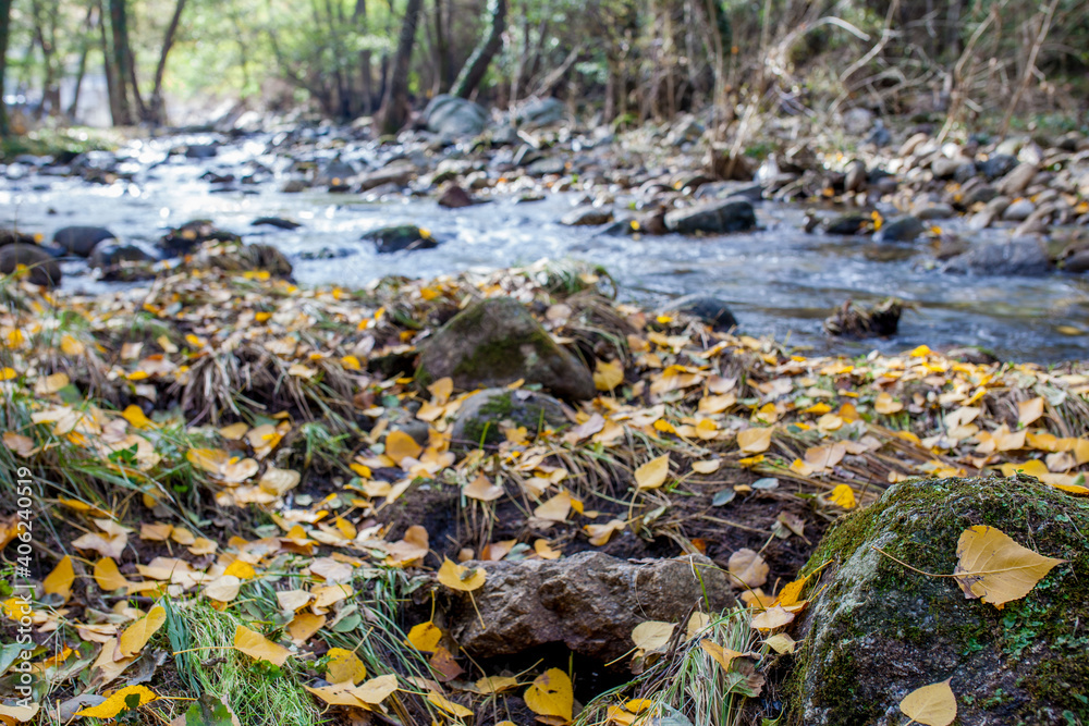 Jerte River in autumn, Extremadura, Spain