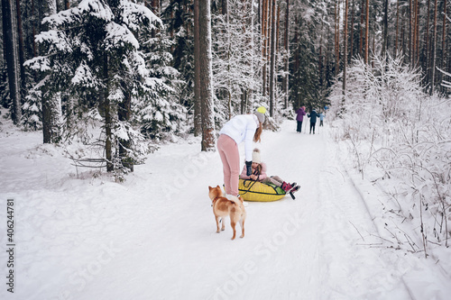 Happy mother and little cute girl in pink warm outwear walking having fun rides inflatable snow tube with red shiba inu dog in snowy white winter forest outdoors. Family sport vacation activities © Алина Троева