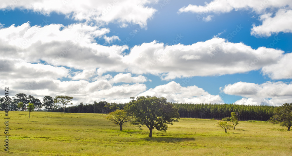 Fototapeta premium Landscape with sky and clouds, Spring day, trees and beautiful clouds