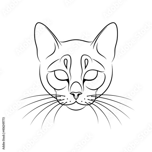 Fototapeta Naklejka Na Ścianę i Meble -  Engraving of stylized cat portrait on white background.. Line art. Stencil art. Stylized cat face. Cat outline.