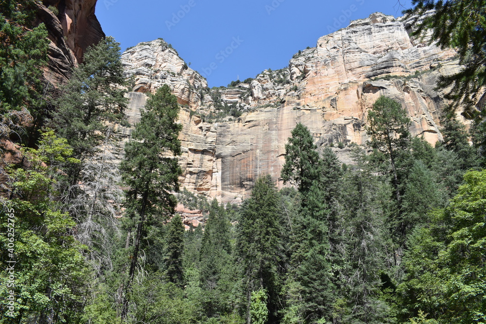 Arizona Cliff Canyon 2019