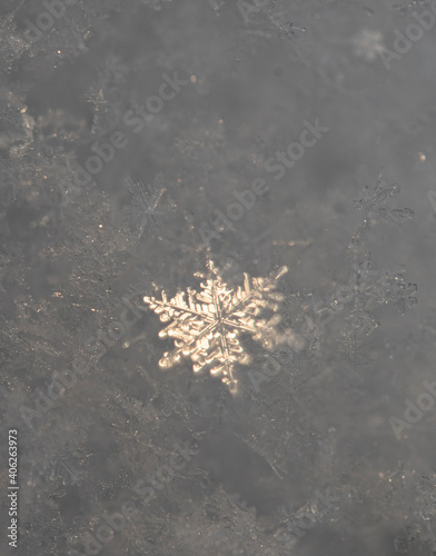 Closeup of snowflakes reflecting on sun