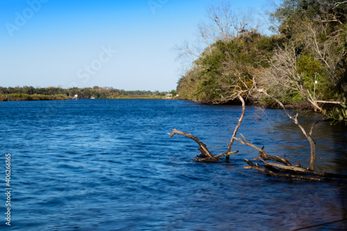 Blue lake view 