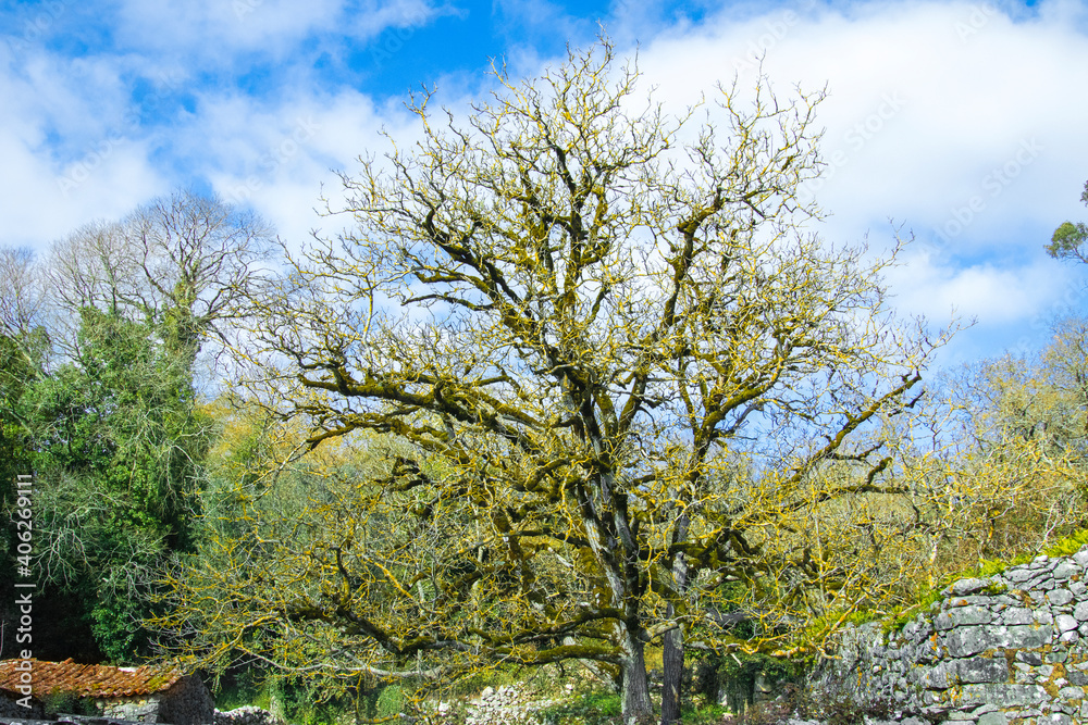 Fototapeta premium COLORS#5