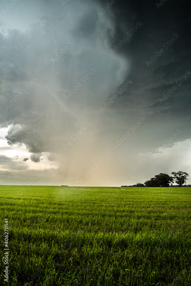 storm over the field storm over the field
