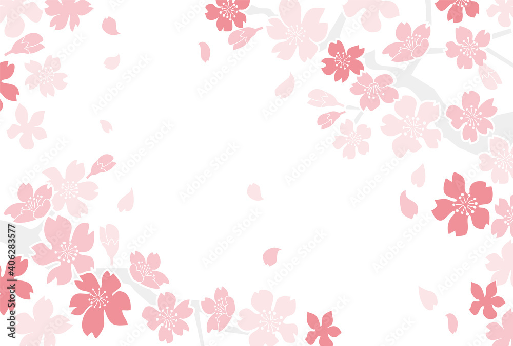 シンプルな満開の桜の背景素材
