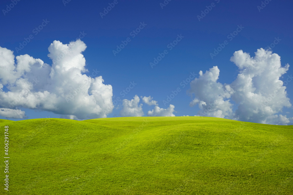 Green grass field on blue sky with cloud background. Green meadow under blue sky with clouds. Green grass field on blue sky with cloud background. Green meadow under blue sky with clouds.