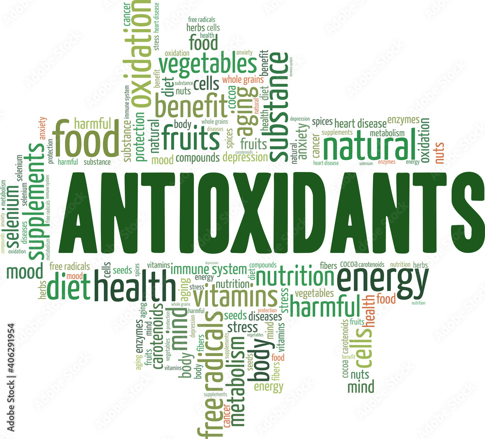 Antioxidants vector illustration word cloud isolated on a white background.