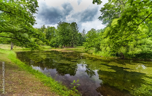 Summer landscape in a city Park with trees  grass  river  sky with clouds