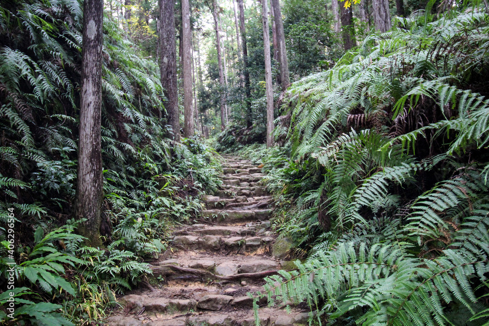 Obraz premium 熊野古道