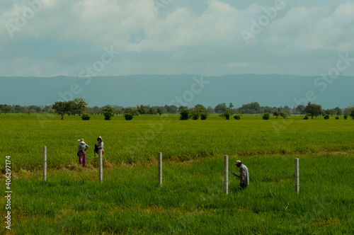people walking in the countryside