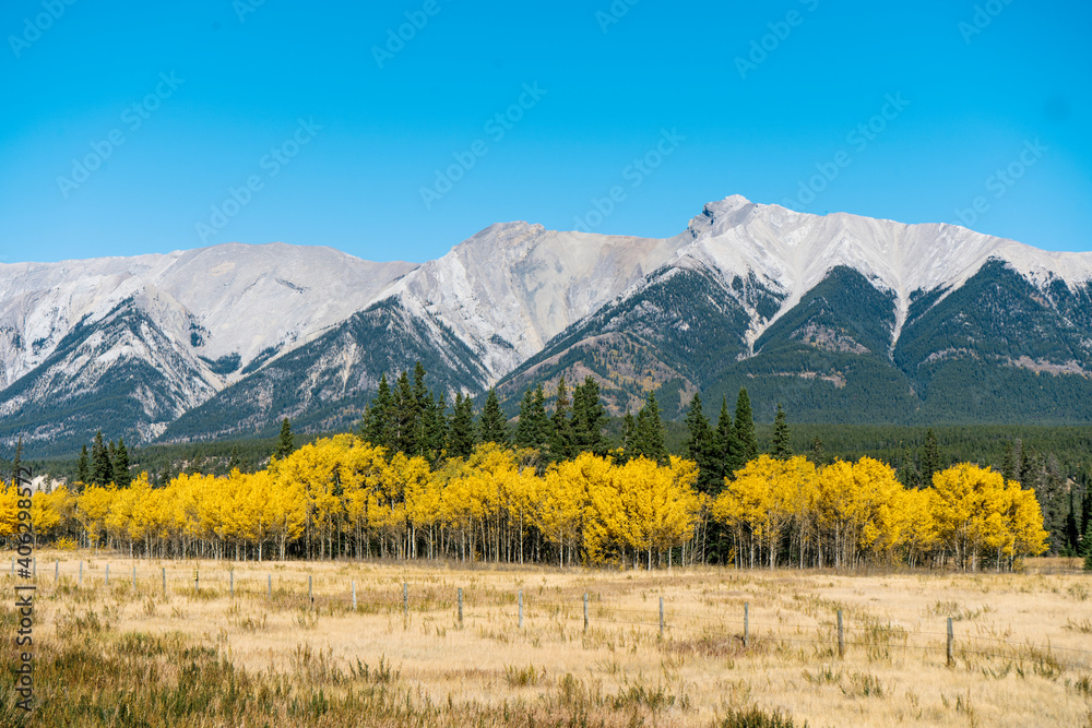Mountains with colorful trees