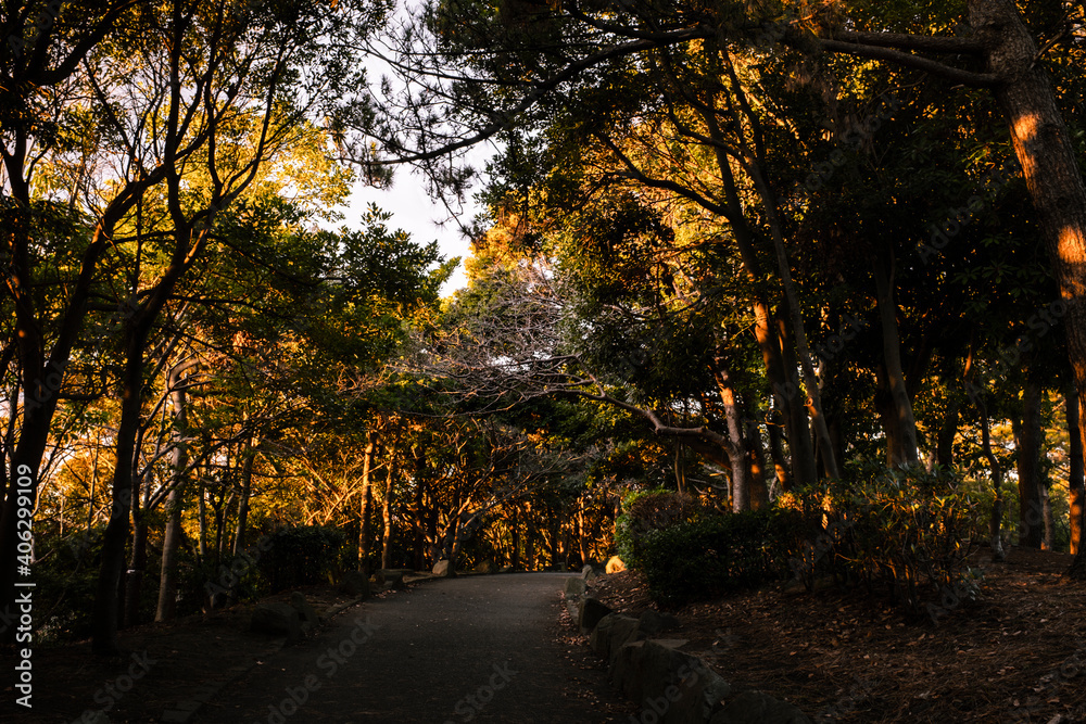 Naklejka premium 海の公園の夕景