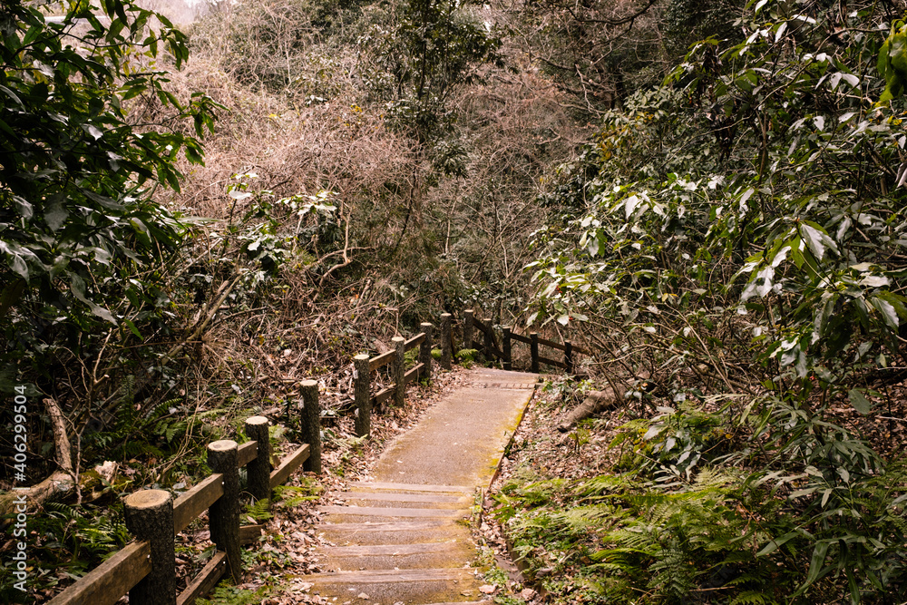 Obraz premium 金沢自然公園