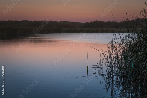 Tranquil night scene  lake and rushes at the edge of lake. Sunset over water in light blue and pink colors