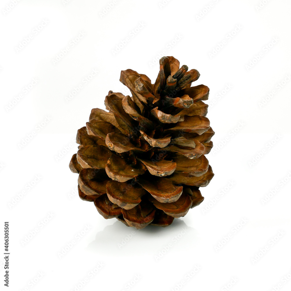 Pine nuts, pine cones isolated on white background.Christmas Decoration Pine nuts, pine cones isolated on white background.Christmas Decoration