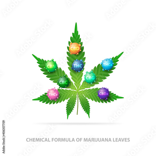 Chemical formula of marijuana leaves. Green leaf of cannabis with 3D molecules of chemical formula of cannabis
