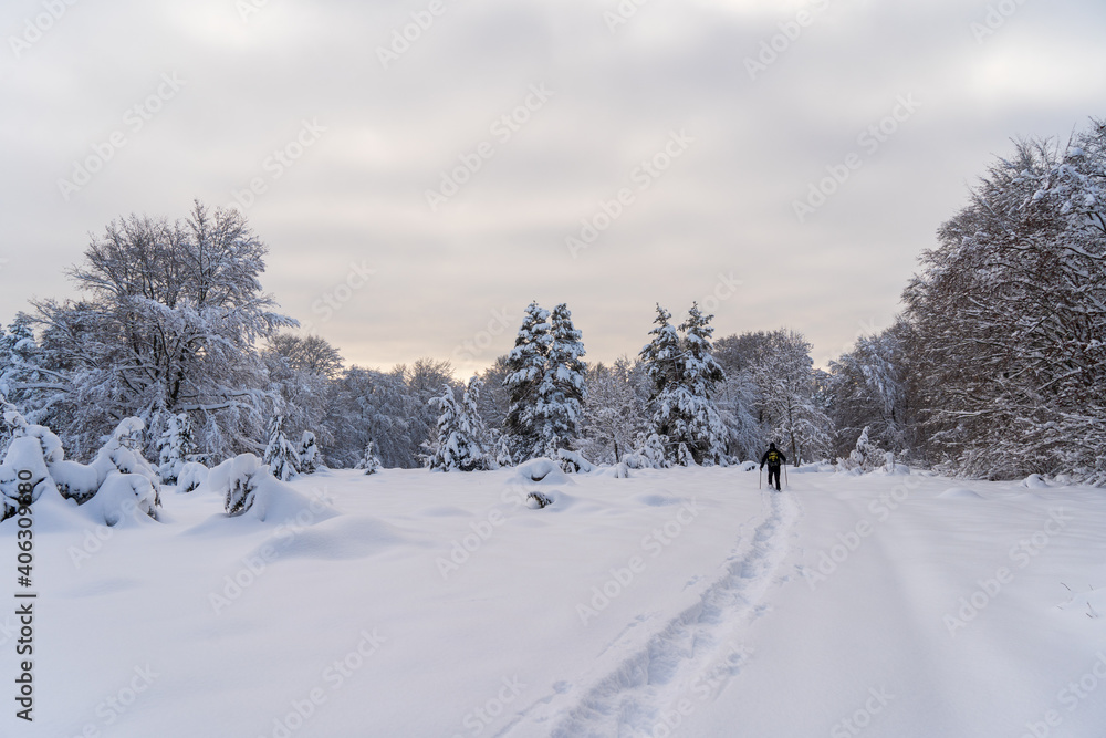 Schneeschuhwandern am Klippeneck Spaichingen Schneeschuhwandern am Klippeneck Spaichingen