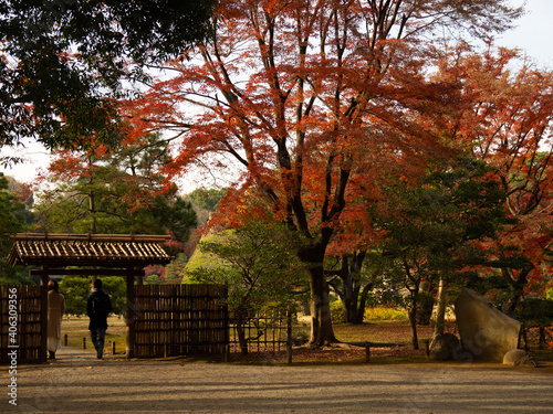 六義園　紅葉