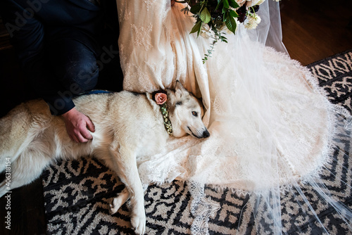 Wedding with Dog as the flower girl
